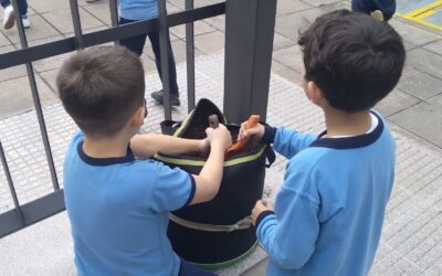 Día Internacional del Medioambiente