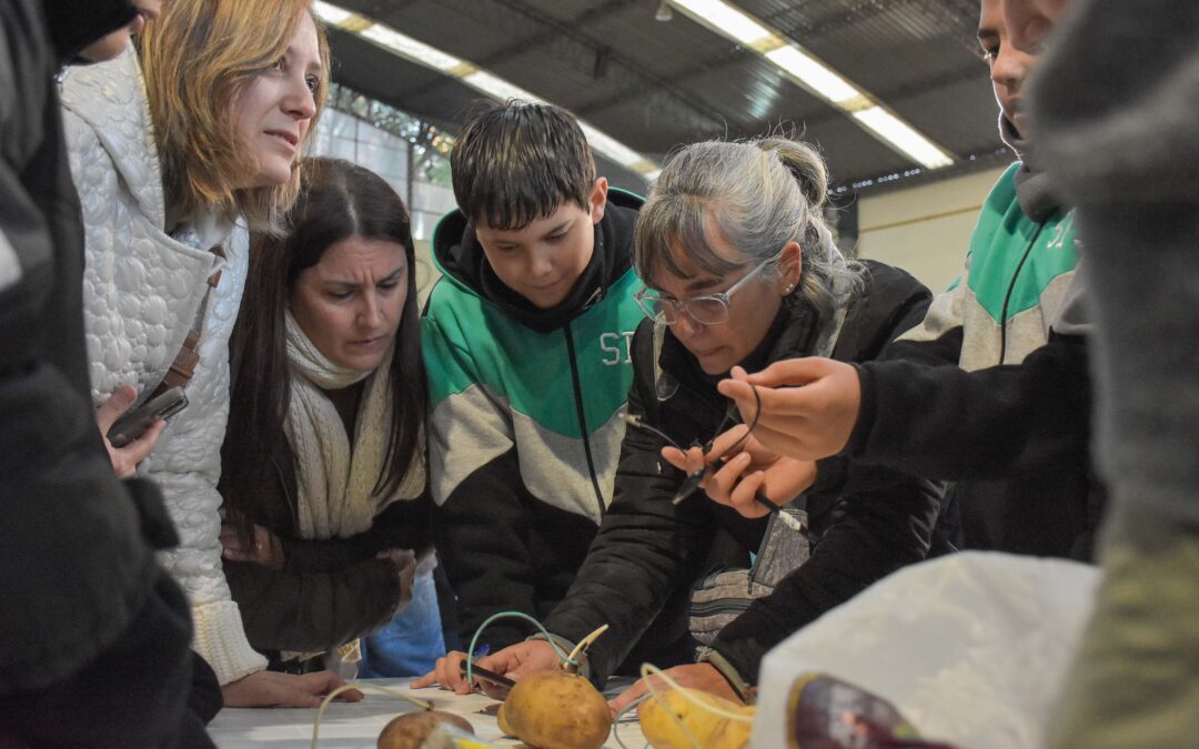Taller de ciencia de 7mo