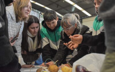 Taller de ciencia de 7mo